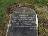 image of grave number 295889